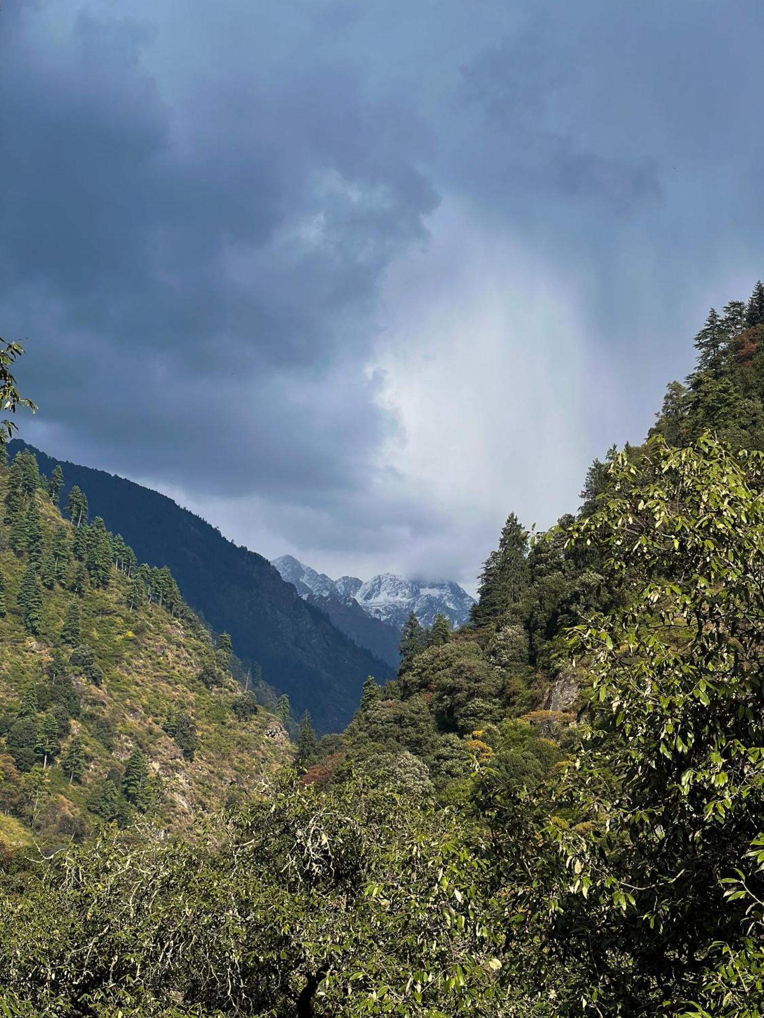 Boho Grove Cafe & Stay, Tirthan Valley