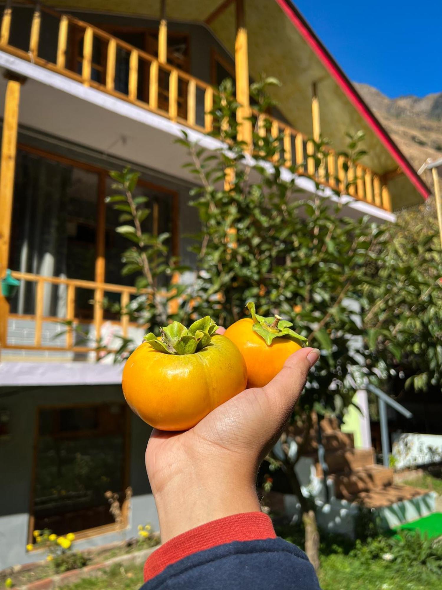 Boho Grove Cafe & Stay, Tirthan Valley Homestay